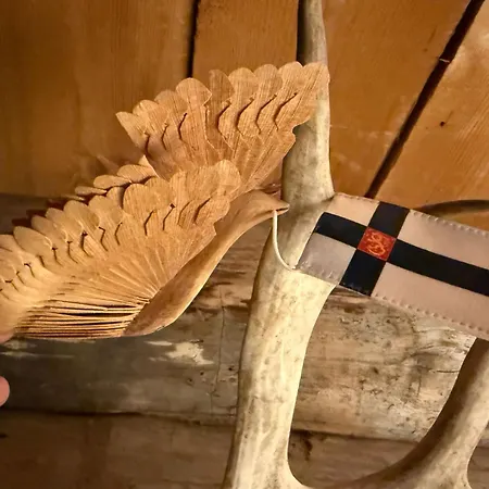 Arctic Private Island Villa Rovaniemi