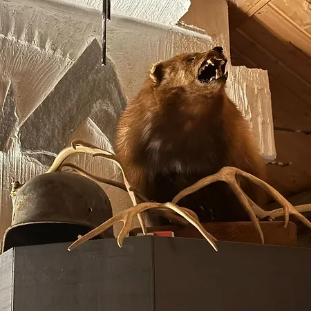 Arctic Private Island *