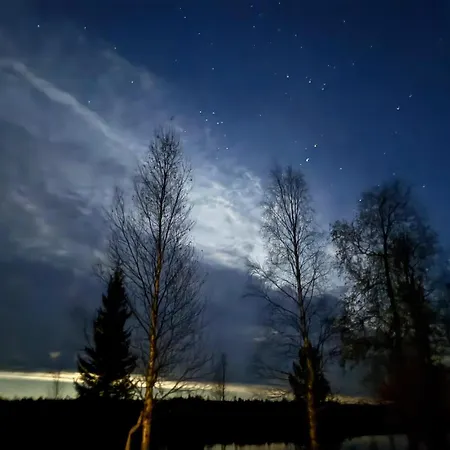 Traditional On Wilderness Island 20km From * Rovaniemi
