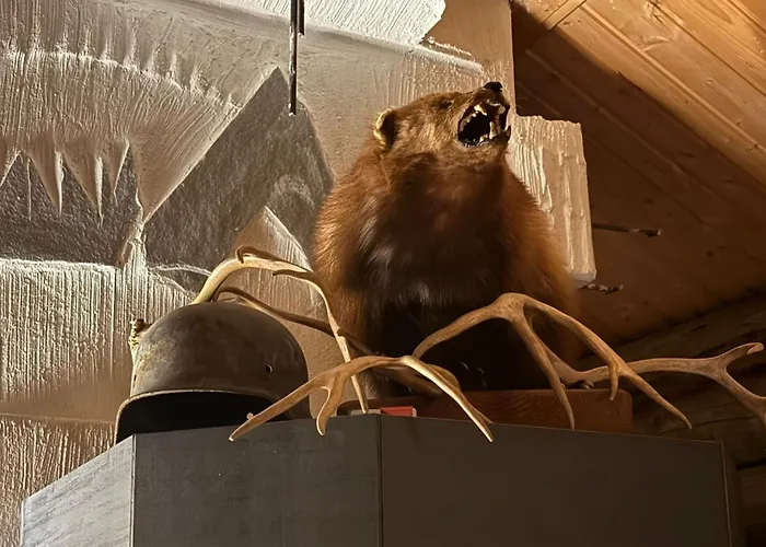 Arctic Private Island *